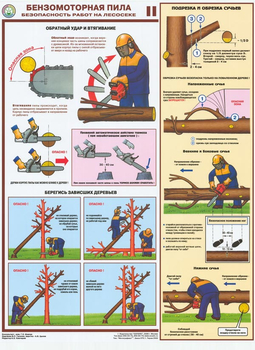 ПС25 Бензомоторная пила. Безопасность работ на лесосеке (пластик, А2, 3 листа) - Плакаты - Безопасность труда - ohrana.inoy.org